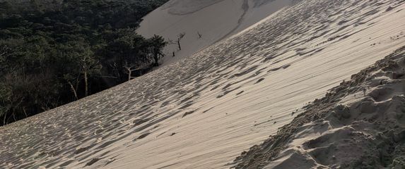 Dune du Pilat