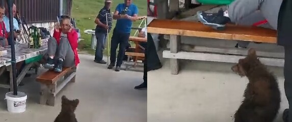 Medvjedić i planinari