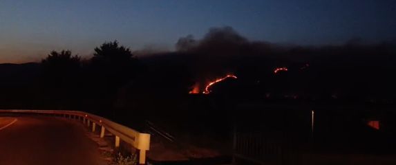 Požar kod Metkovića - 2