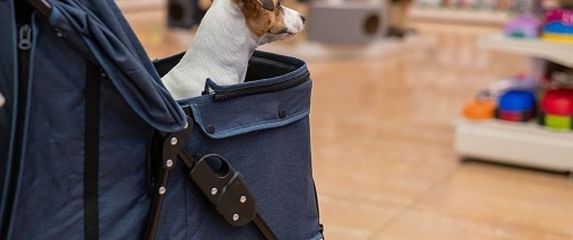 Pet shop