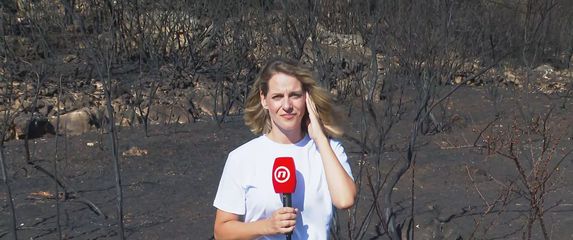 Paula Klaić Saulačić