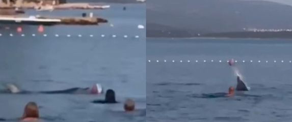 Dupin među kupaćima