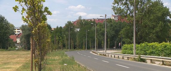 Alka Vuica - 2