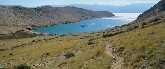 Vela Luka na Krku - 4