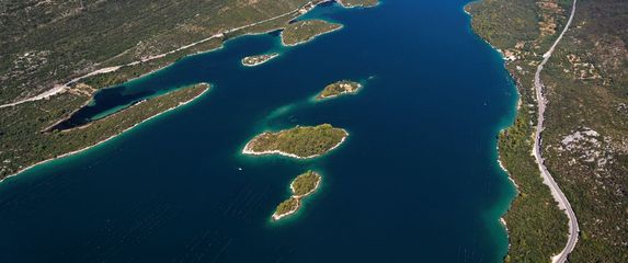 Kviz općeg znanja - 11