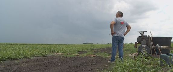 Kiša uništava poljoprivredu (Dnevnik.hr)