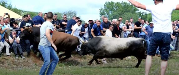 Bikijada u Dicmu - 1