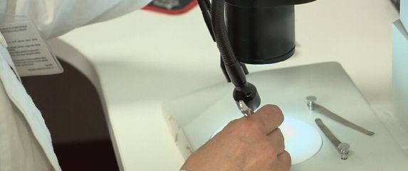 Lajmska bolest, ilustracija - 1