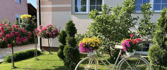 Medicinska sestra Marija Ričko ima najljepše dvorište u okolici Ludbrega - 8