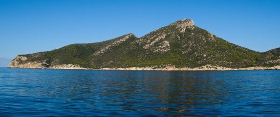 Otok zmija