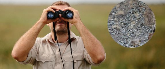 Muškarac koji gleda kroz dvogled i sakriveni snježni leopard