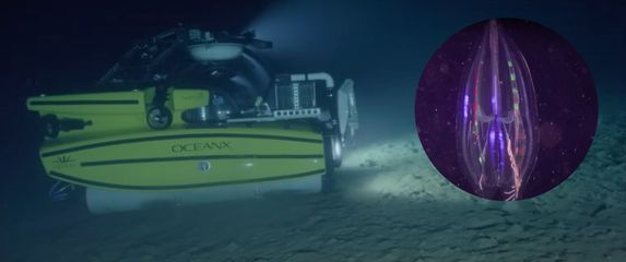 Podmornica za znanstvena istraživanja i bioluminiscentni organizam