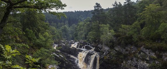 Rogie Falls
