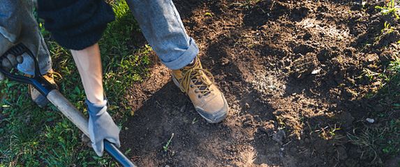 Kopanje vrta, ilustracija