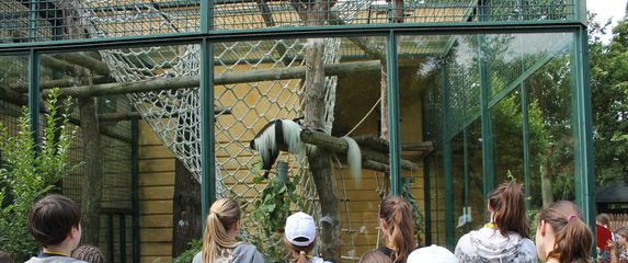 Tijekom ljetnih školskih praznika u Zoološkom vrtu Grada Zagreba održava se Divlje ljeto - 3