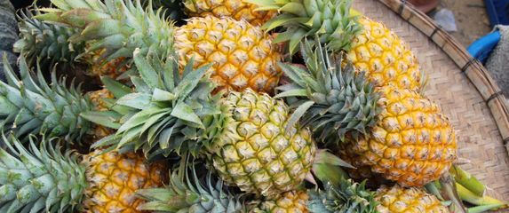 Ananas