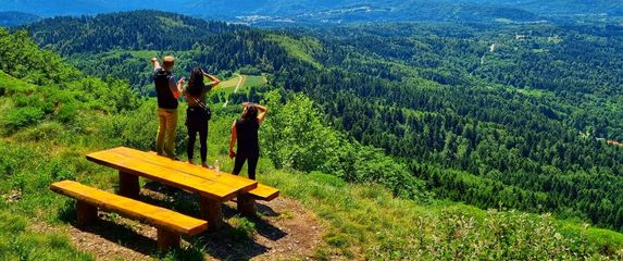 Gorski kotar s Lynx and Fox - 2