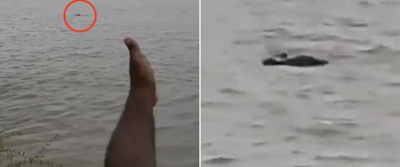 Krokodil odvukao dječaka u rijeku