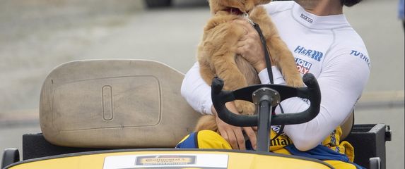 The Art of Racing in the Rain