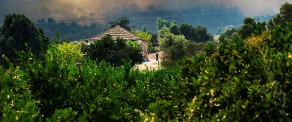 Turska, Izmir, požari - 1