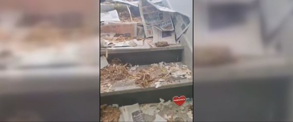 Maturanti demolirali srednju školu - 5