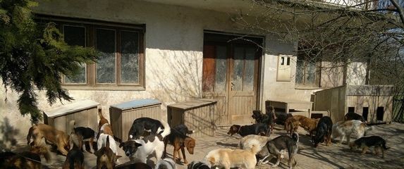 Prijavljena Udruga u općini Dvor