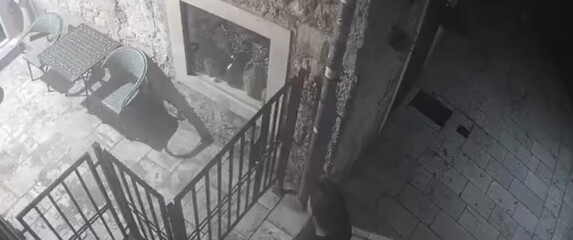 Mokrenje pred kućom