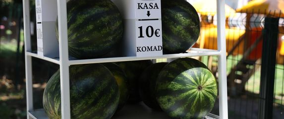 Lubenicomati u Osijeku