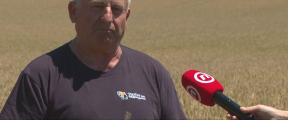 Mirko Laslo, ratar
