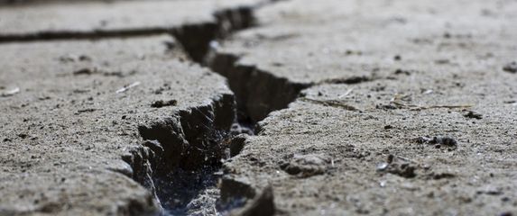 Ilustracija