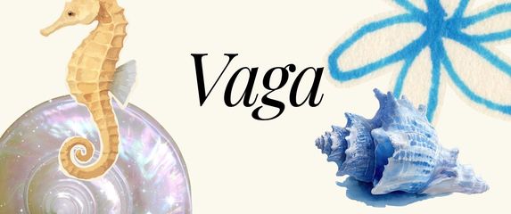 Vaga