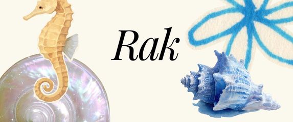 Rak