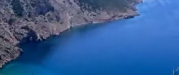 Pogled