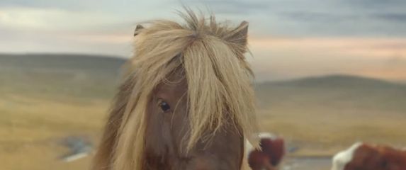 Pogledajte nove mashup animacije rasplesanog ponija koji je postao hit na društvenim mrežama