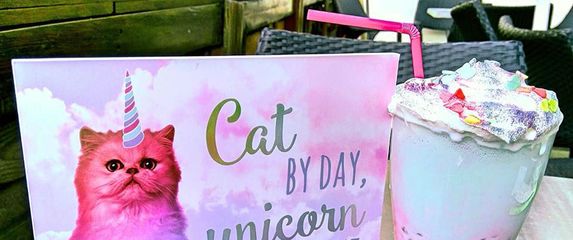 Caticorn frappe uskoro će biti u ponudi zagrebačkog kafića Cat Caffe