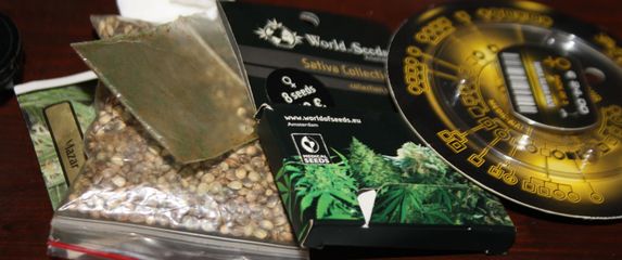 Marihuana i rizle (Foto: PU istarska)