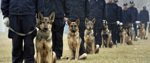 Policijski psi u Kini, ilustracija (Foto: AFP)