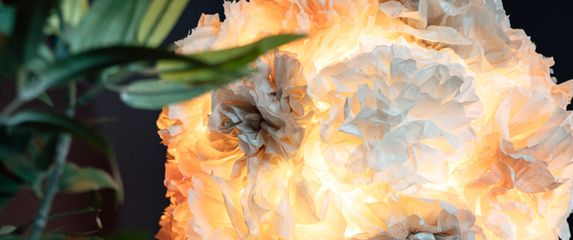 Luster od 10 kuna kao najljepši ukras u stanu - 2