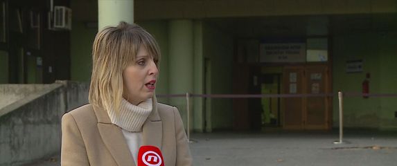 Anamarija Petek Erić