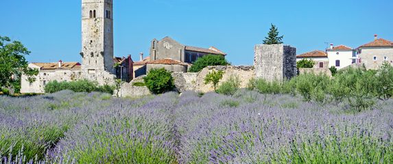 Sveti Lovreč - 1