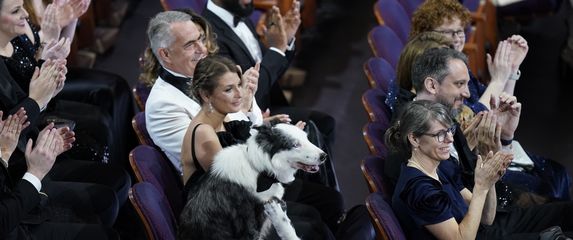 Pas Messi iz filma 'Anatomija pada' imao je svoj stolac na dodjeli Oscara - 4