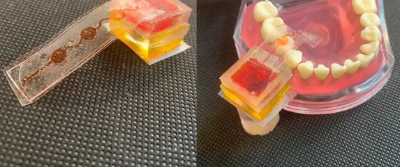 E-Taste, elektronski jezik