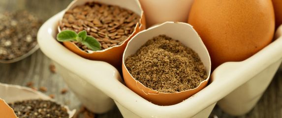 Lanene sjemenke možete upotrijebiti umjesto jaja u kolačima