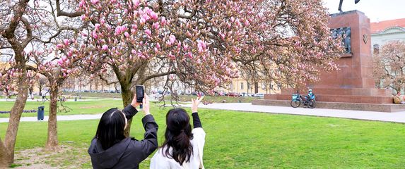 Najljepši proljetni prizori u centru Zagreba