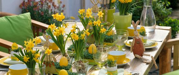 Uskrsni stol ukrašen narcisima