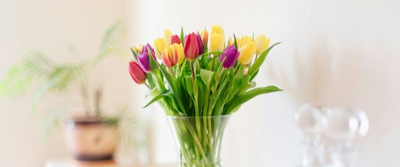 Tulipani u vazi