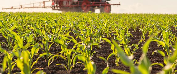 Poljoprivreda, ilustracija - 3