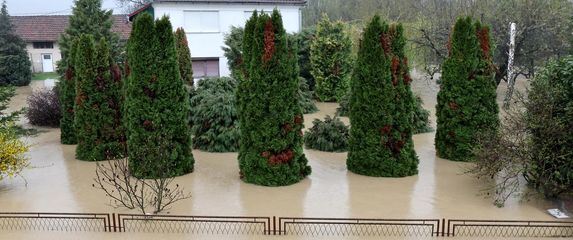 Poplava u Orahovici - 3