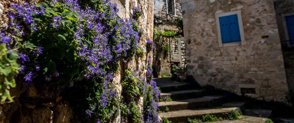 Proljeće u Kršanu - 1