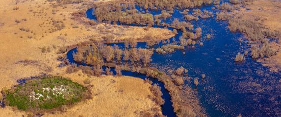 Zima u Hutovom blatu - 5